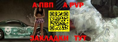 дмт Гай