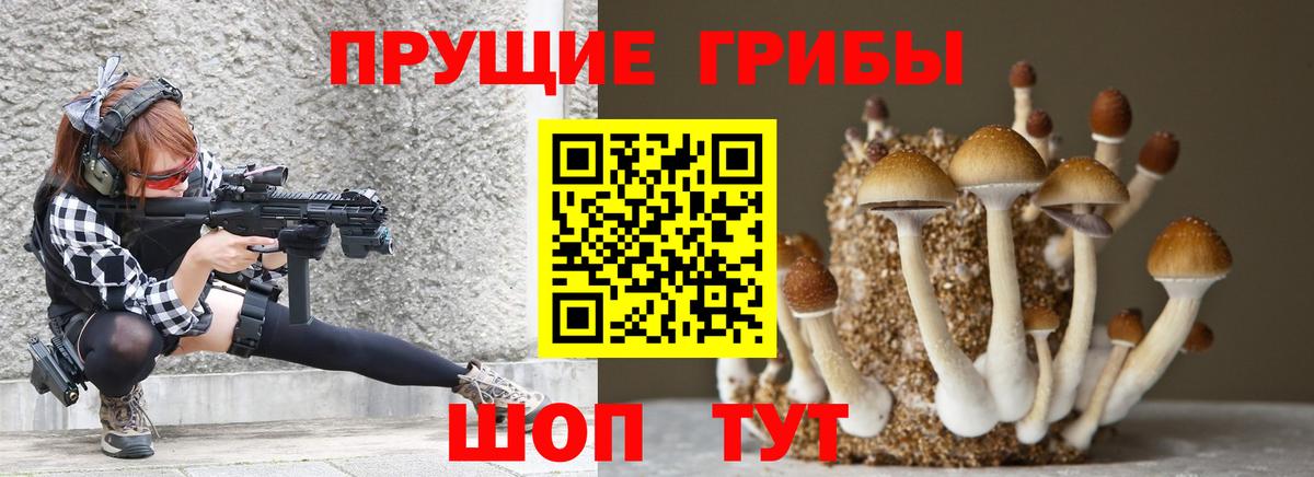Псилоцибиновые грибы Magic Shrooms Кунгур