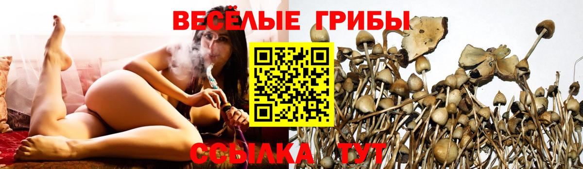 Меф Кунгур