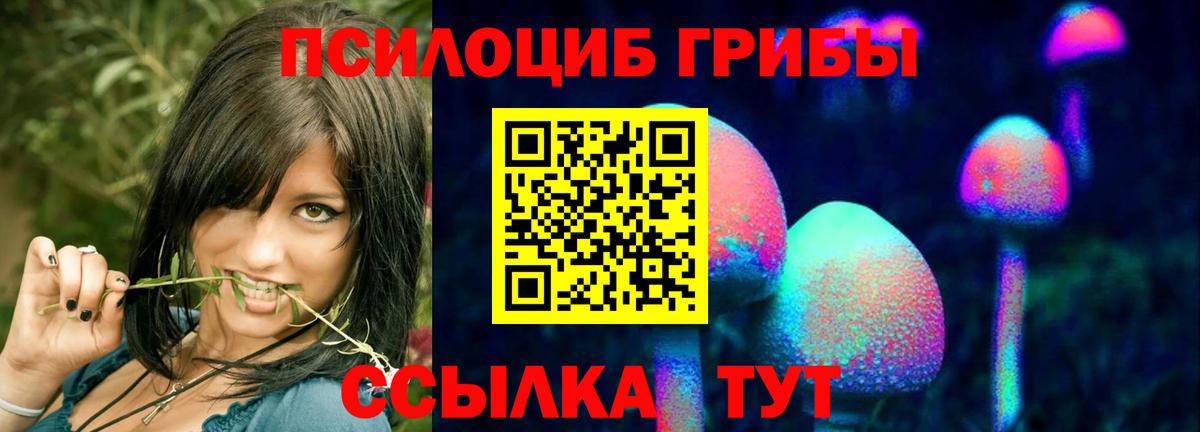 Кунгур  что такое наркотик  Вход с VPN  Псилоцибиновые грибы Psilocybe 